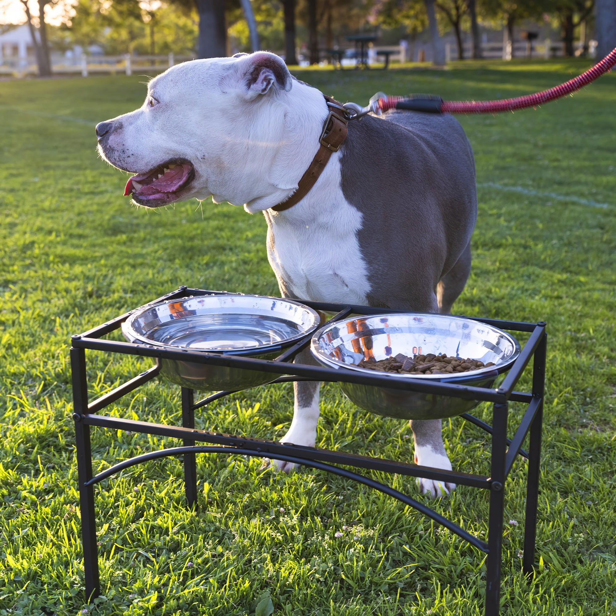 Stabiler Halter aus Eisen für Hundenäpfe und 2 Näpfe aus Edelstahl